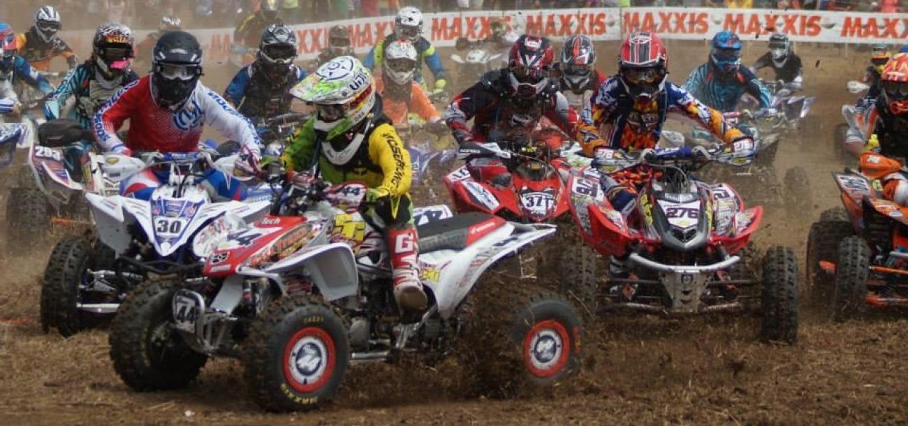 Tuesday Toolbox: Levi Coen