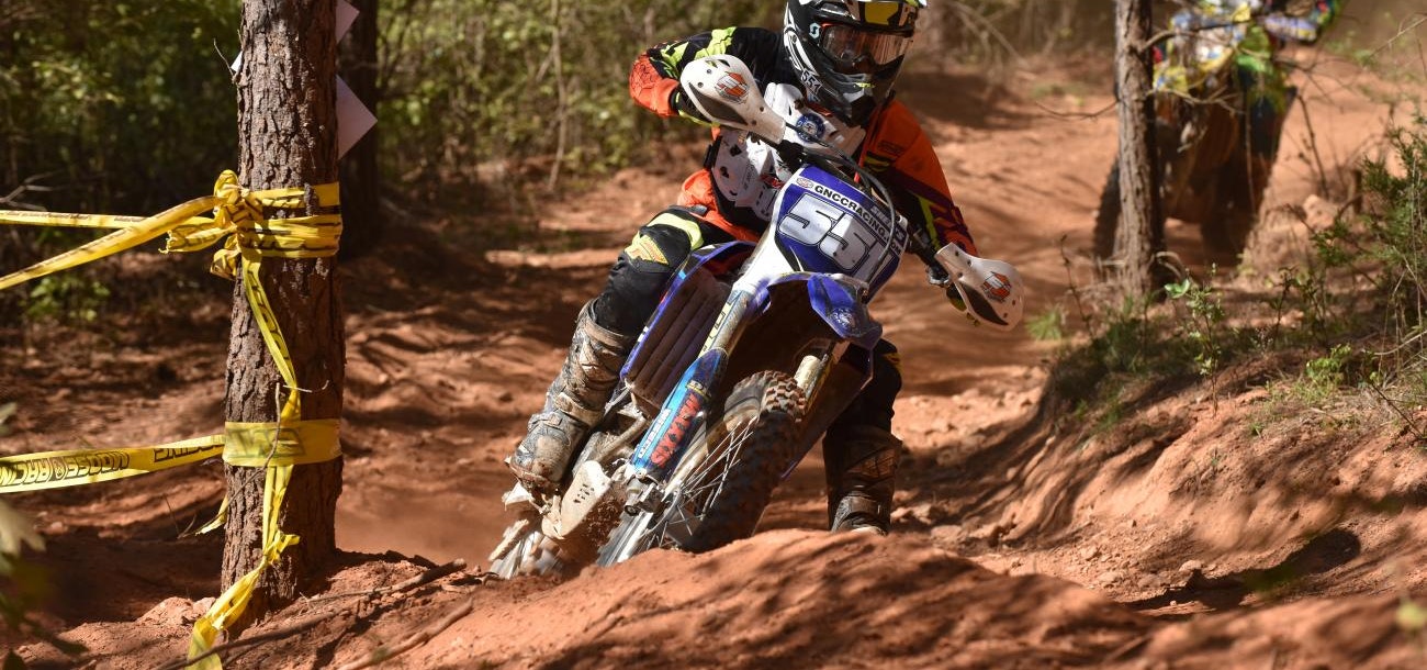 Tuesday Toolbox: Becca Sheets