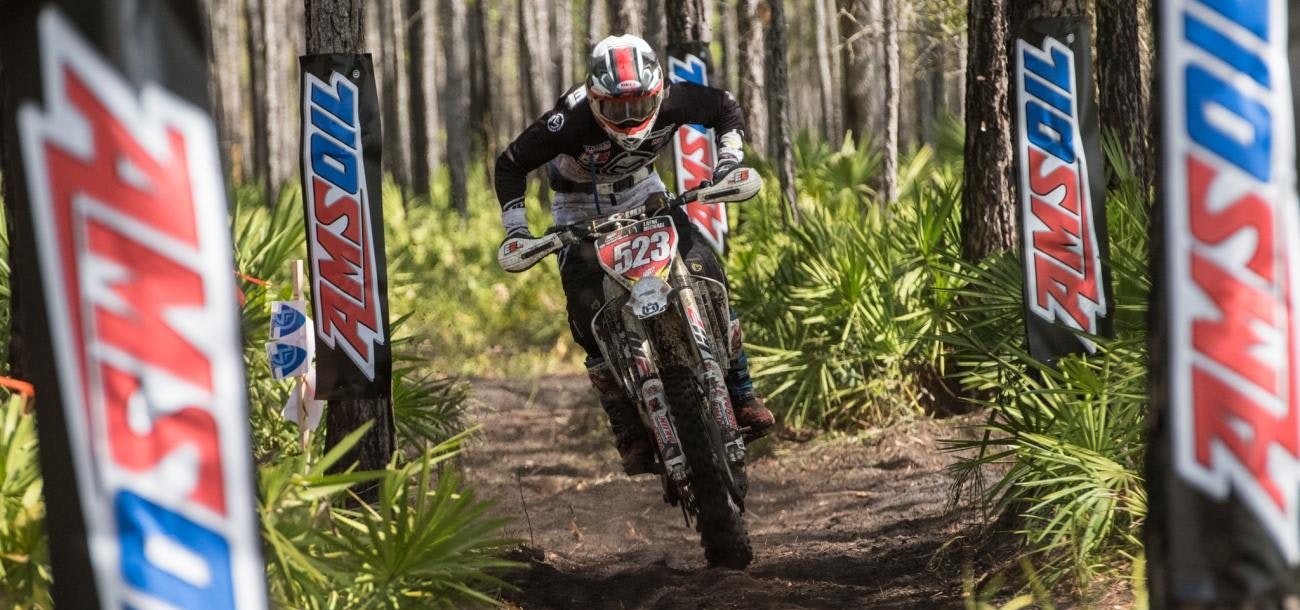 Photo Gallery: Wild Boar Afternoon Bikes