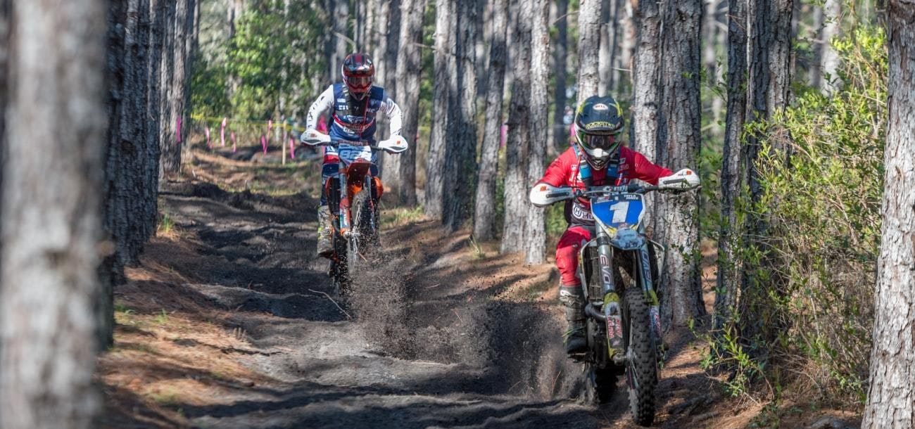 Photo Gallery: Wild Boar Morning Bikes