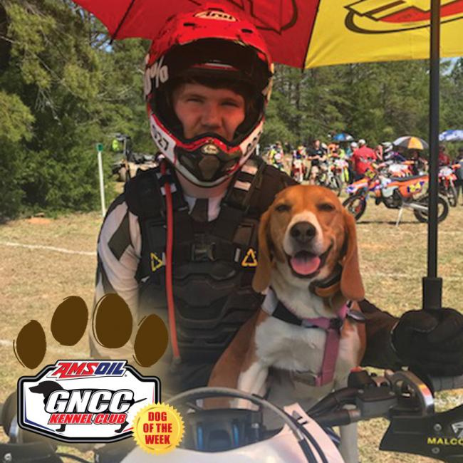 Congratulations, Sassy, on being chosen as this week's GNCC Dog of the Week! (Dylan MacRitchie's dog)