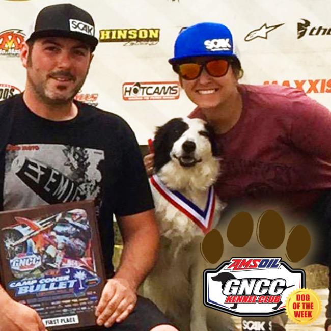 At 15 years young Lexi is the best pit dog ever! The Border collie from Tennessee wont let the race van outta sight in fear that she might miss the next trip. She brought good luck to long time GNCC competitor Justin Ramsey Sunday at Camp Coker as he took his first win in the Vet B class.