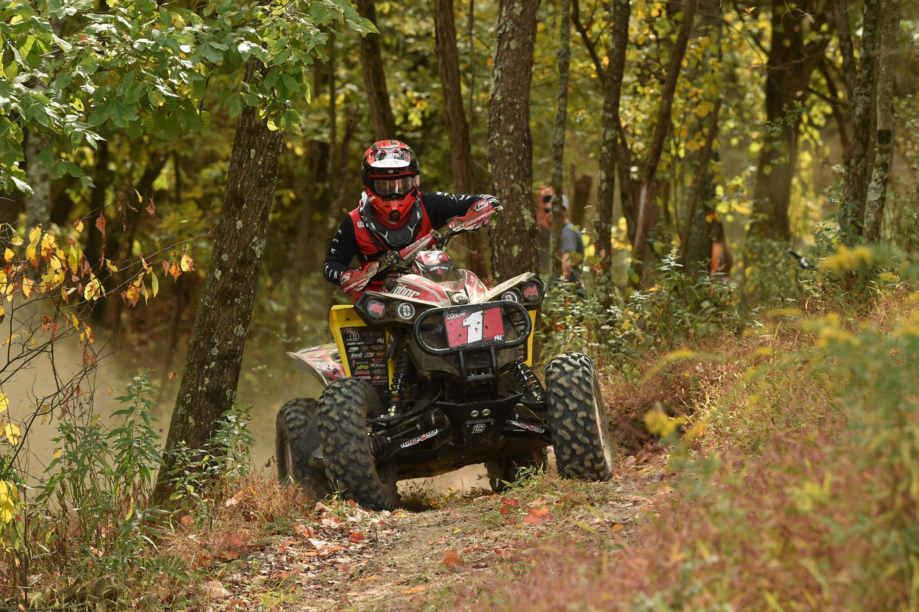 Tuesday Toolbox: Landon Wolfe