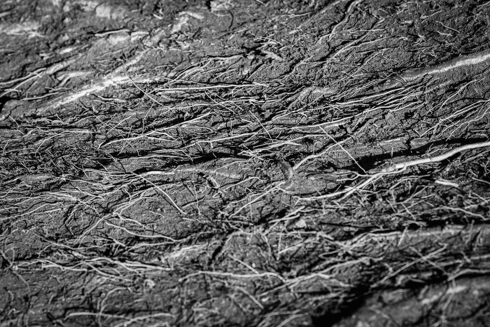 untitled_shoot-006-5