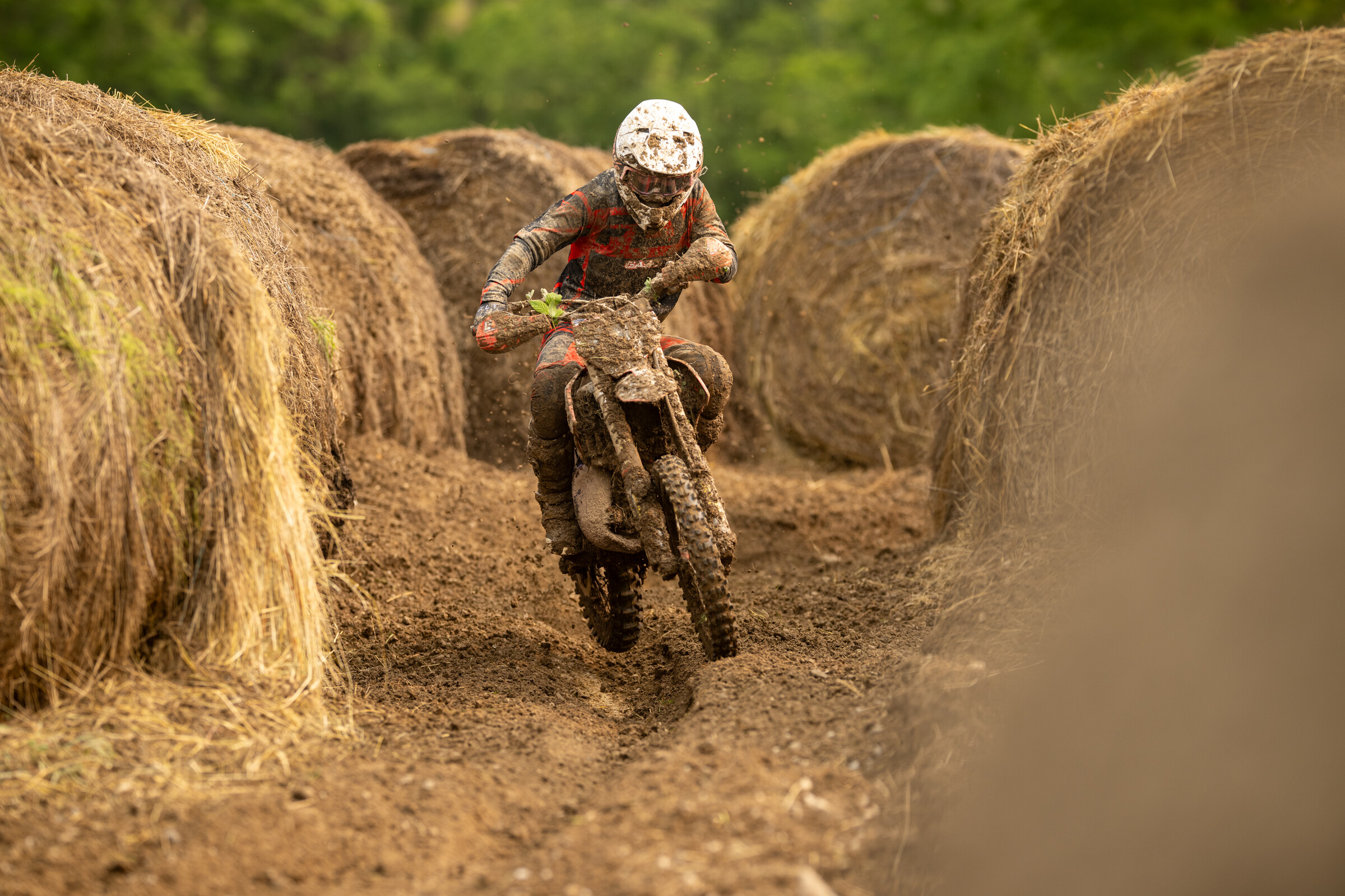 Mason-Dixon_SUN_Faint untitled-25