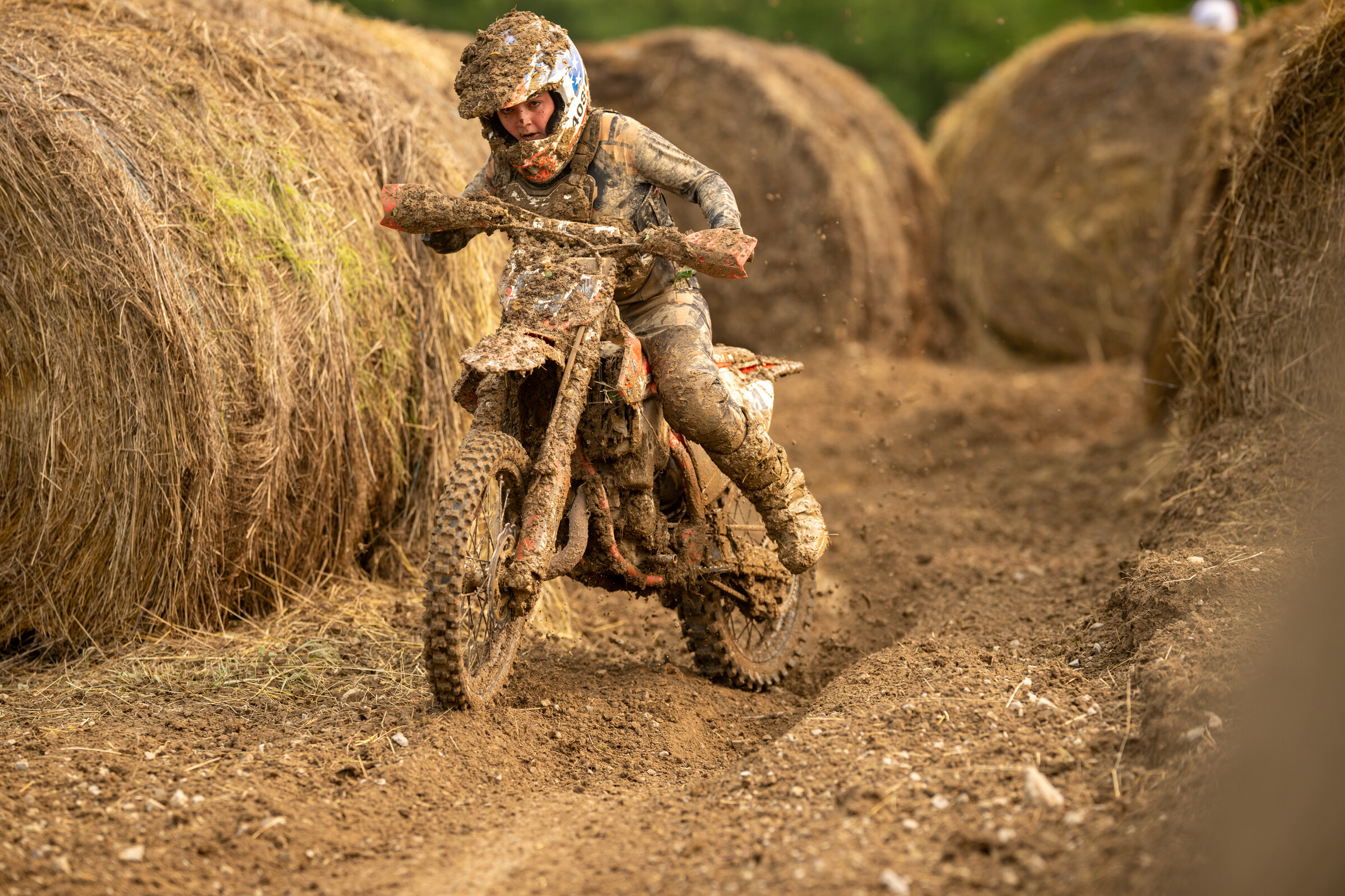 Mason-Dixon_SUN_Faint untitled-164