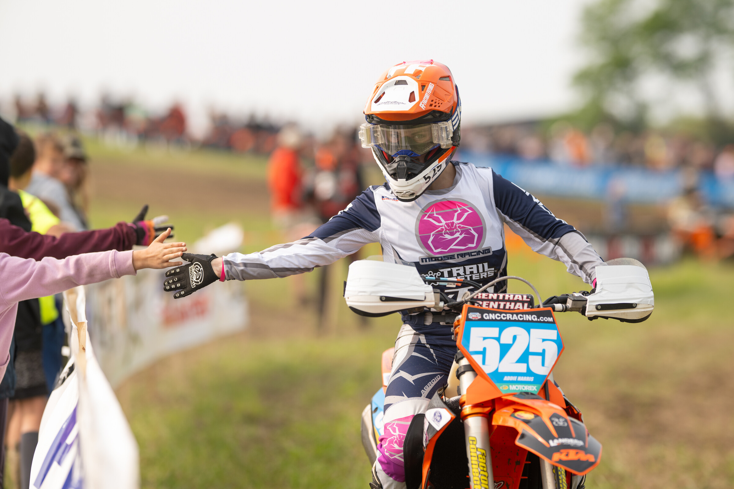 Mason-Dixon_SUN_Faint untitled-321