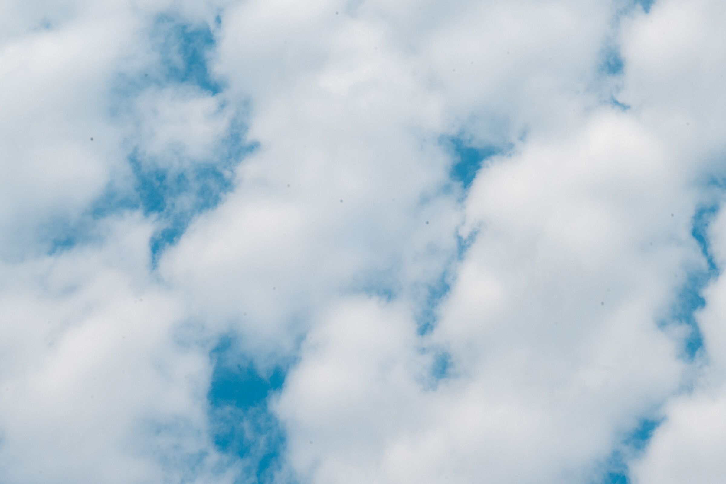 Mason-Dixon_SUN_Faint untitled-394