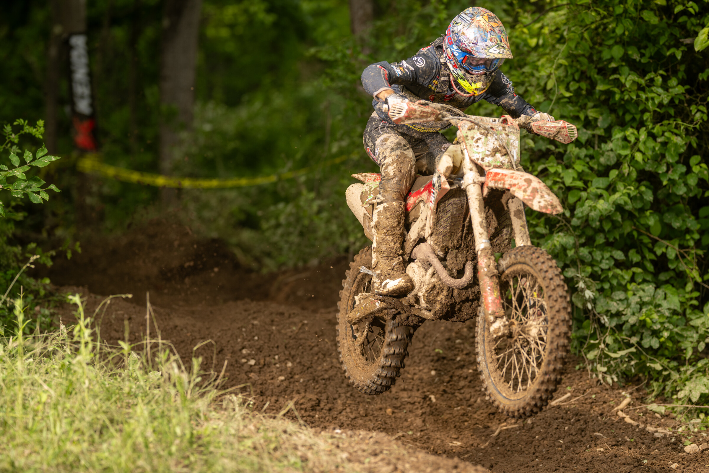 Mason-Dixon_SUN_Faint untitled-401