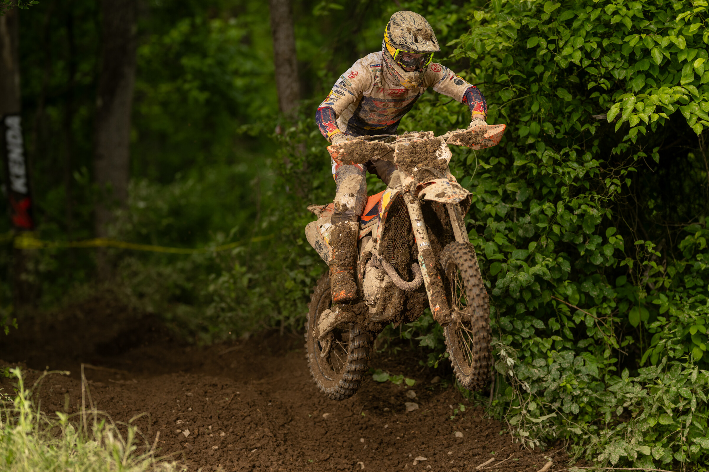 Mason-Dixon_SUN_Faint untitled-389