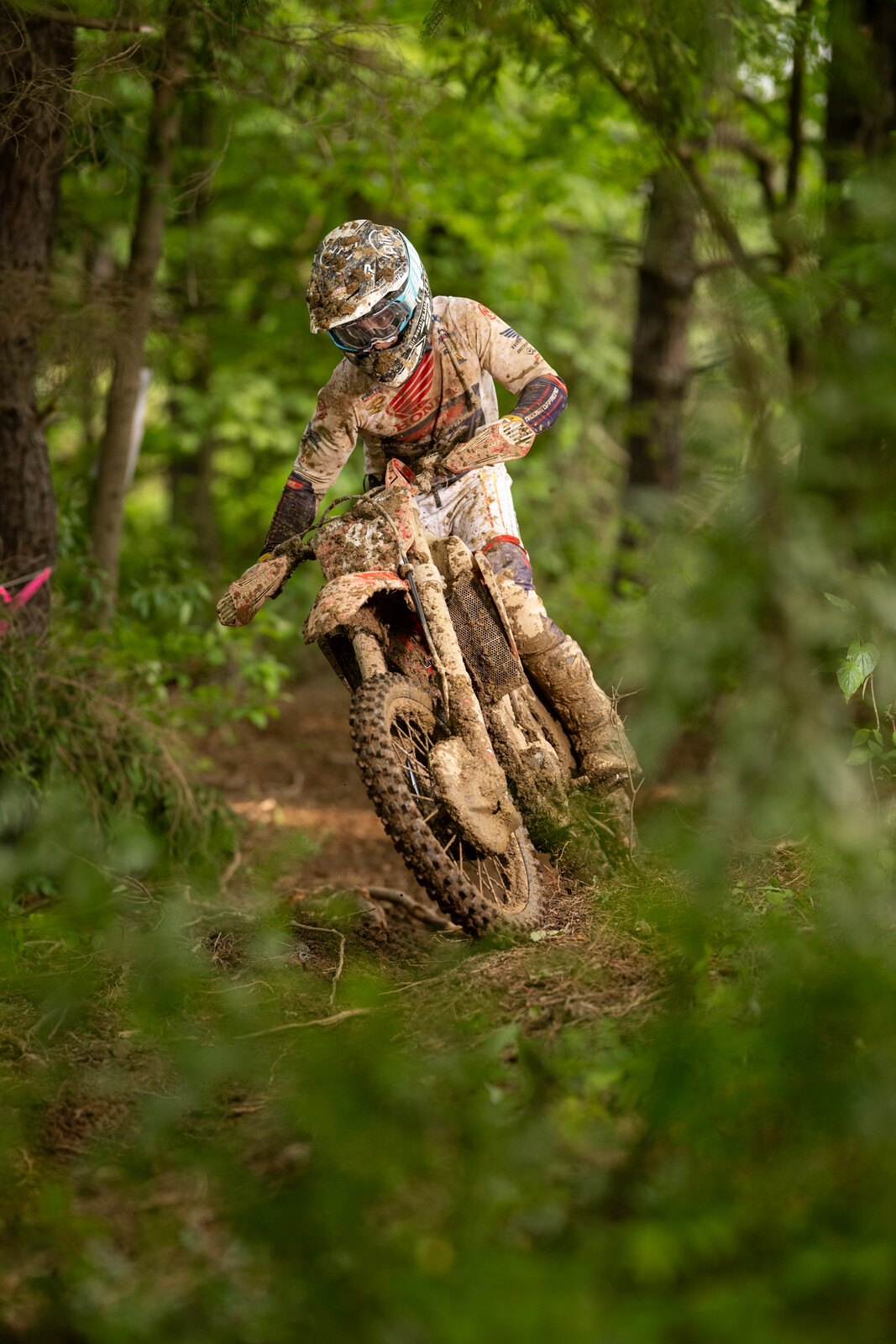 Mason-Dixon_SUN_Faint untitled-387