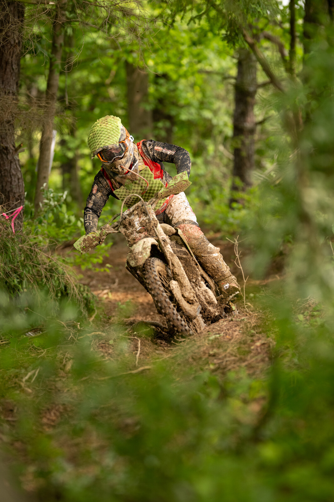 Mason-Dixon_SUN_Faint untitled-402