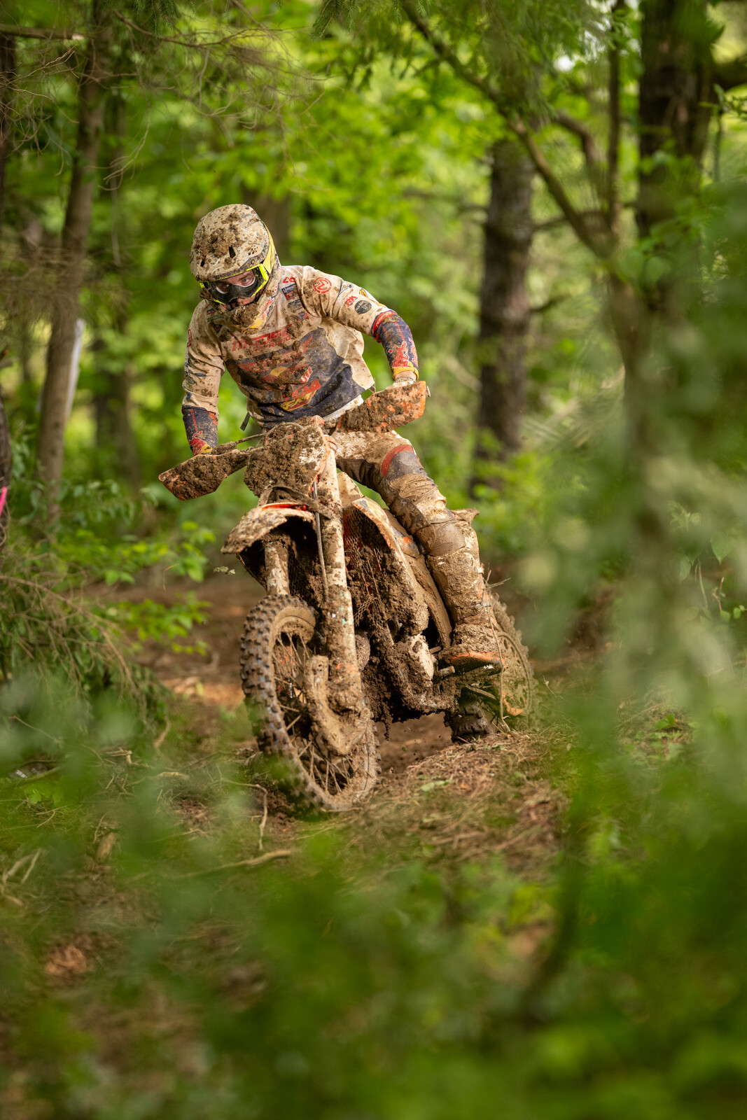 Mason-Dixon_SUN_Faint untitled-397