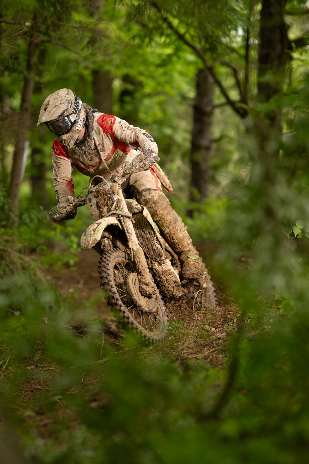 Mason-Dixon_SUN_Faint untitled-623