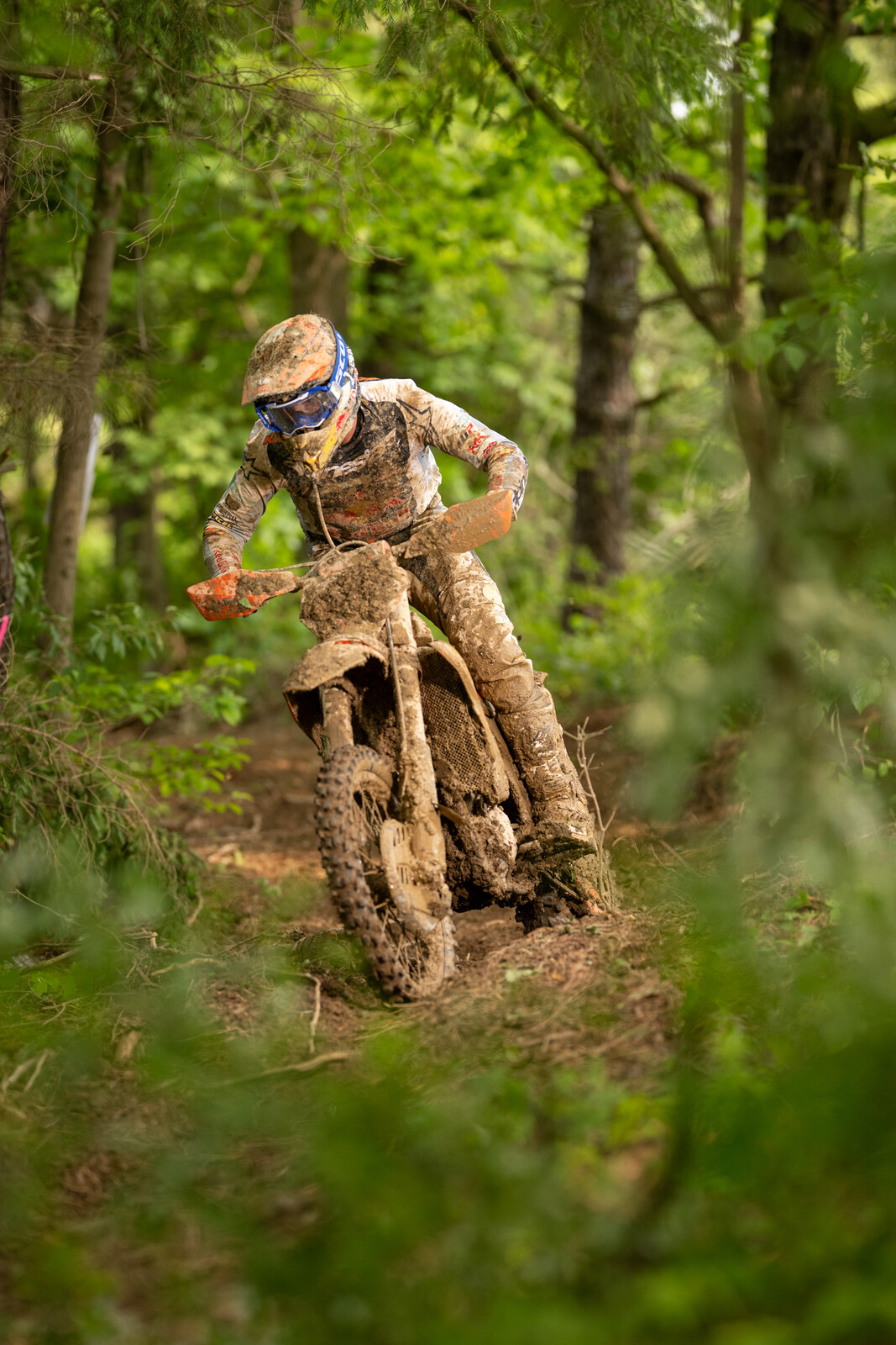 Mason-Dixon_SUN_Faint untitled-612