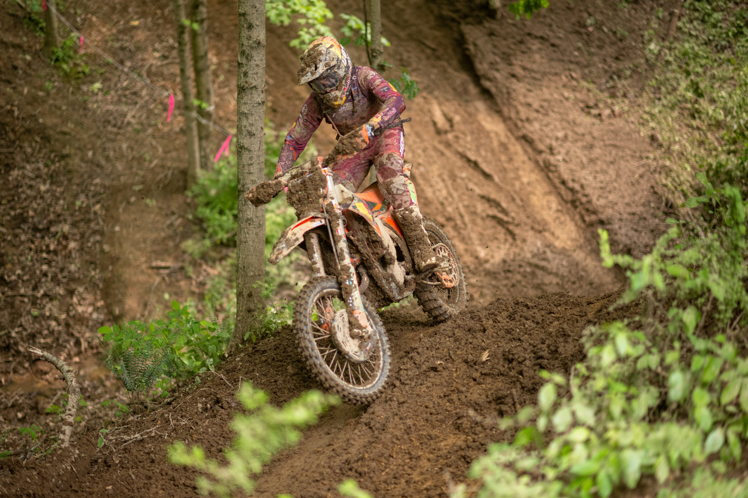 Mason-Dixon_SUN_Faint untitled-662