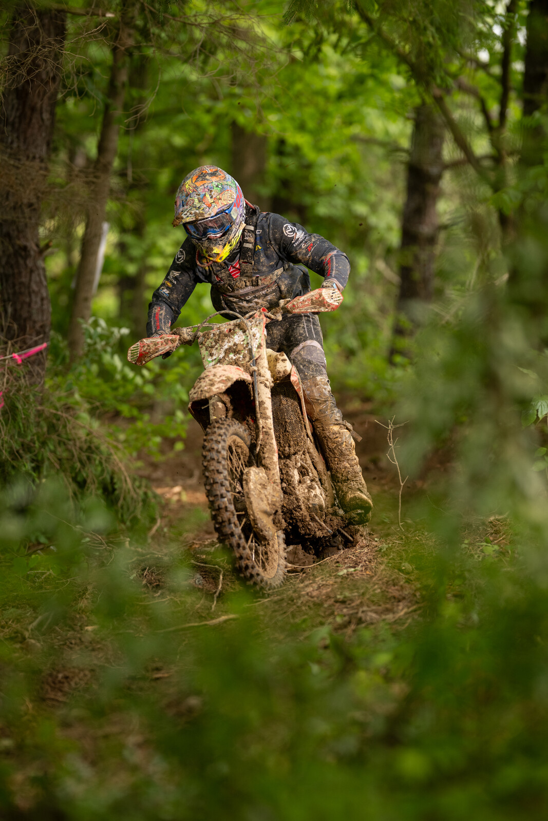 Mason-Dixon_SUN_Faint untitled-725