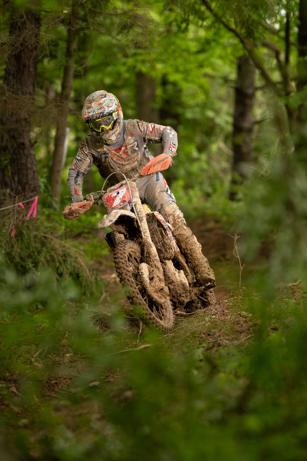 Mason-Dixon_SUN_Faint untitled-854