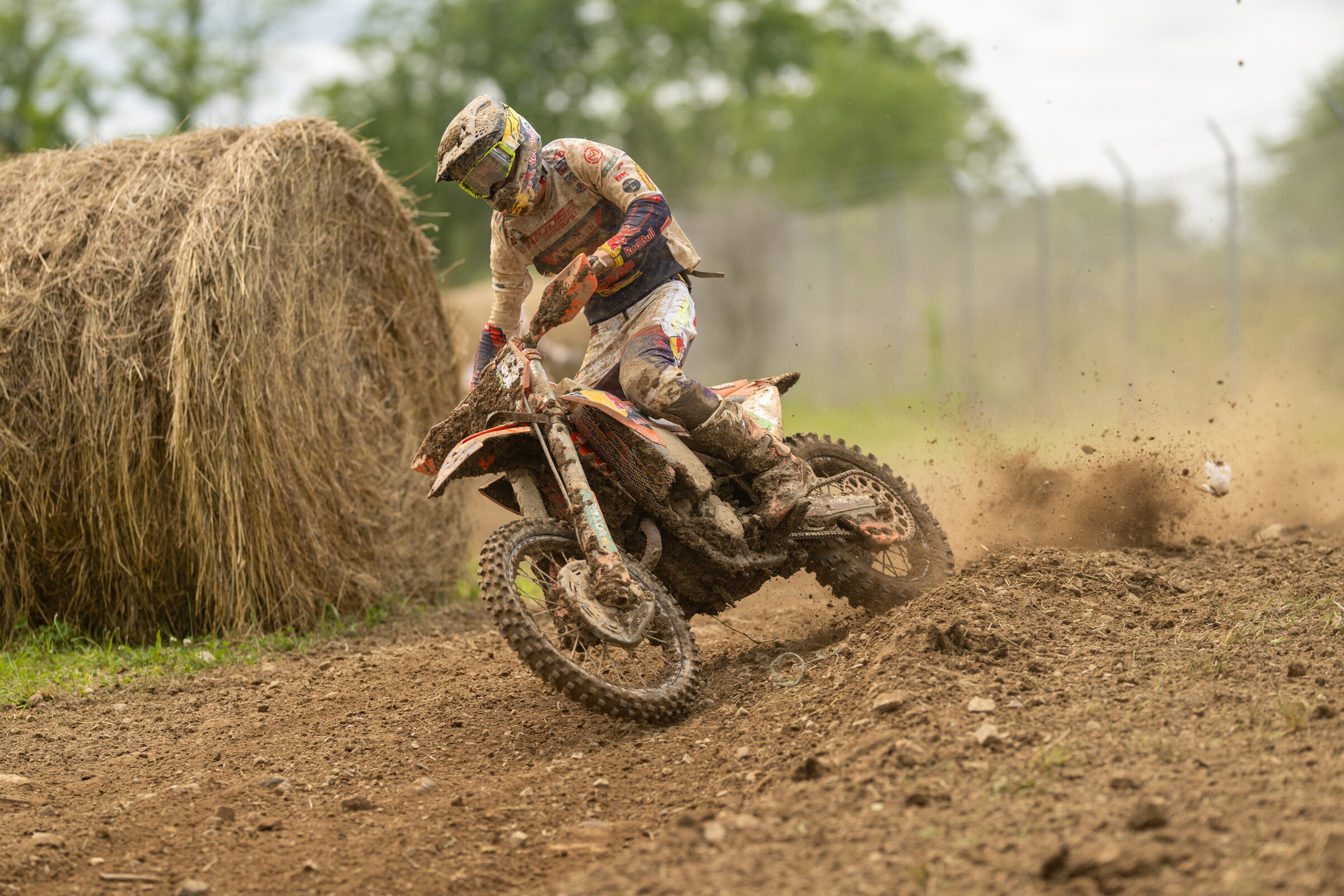 Mason-Dixon_SUN_Faint untitled-794