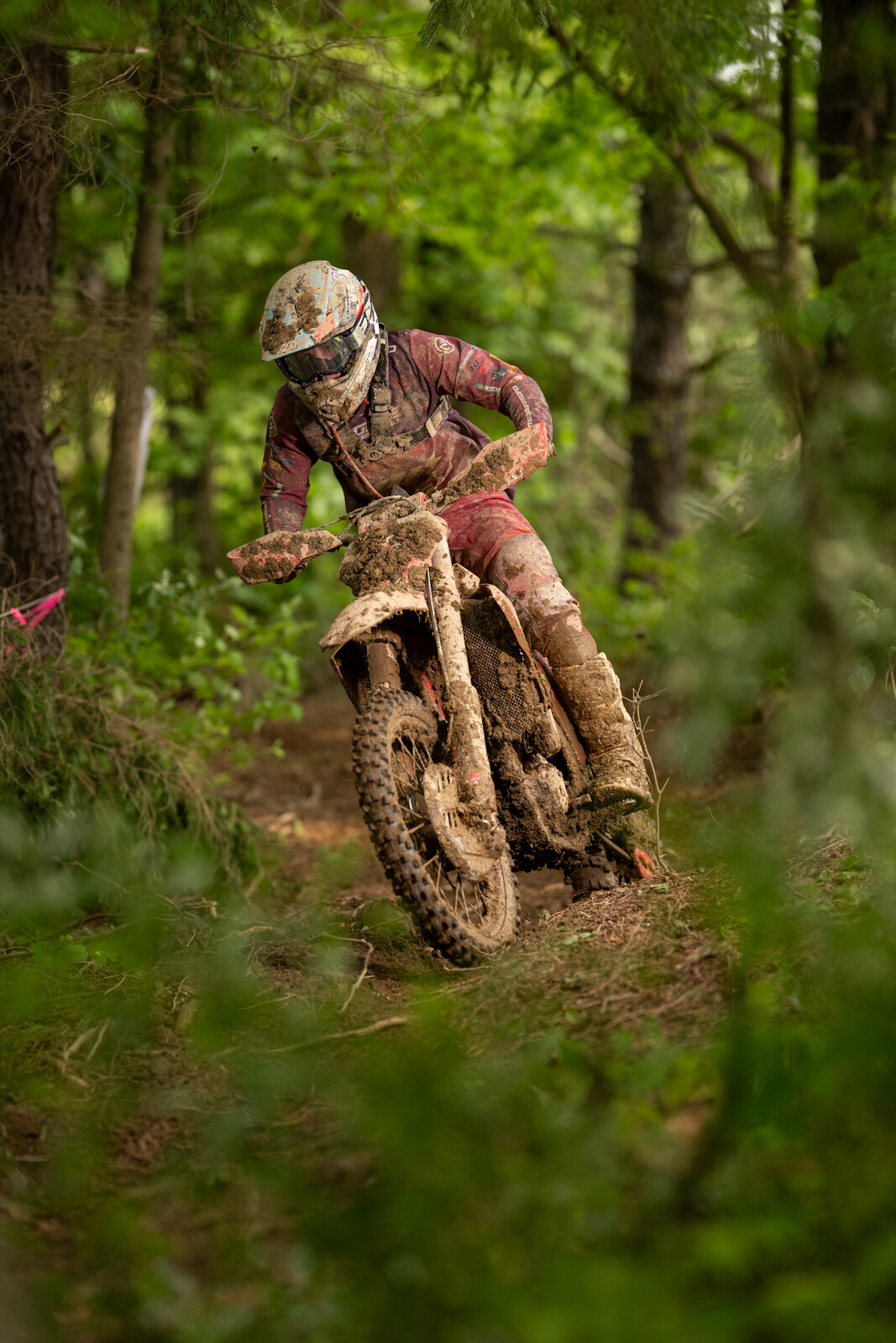 Mason-Dixon_SUN_Faint untitled-830