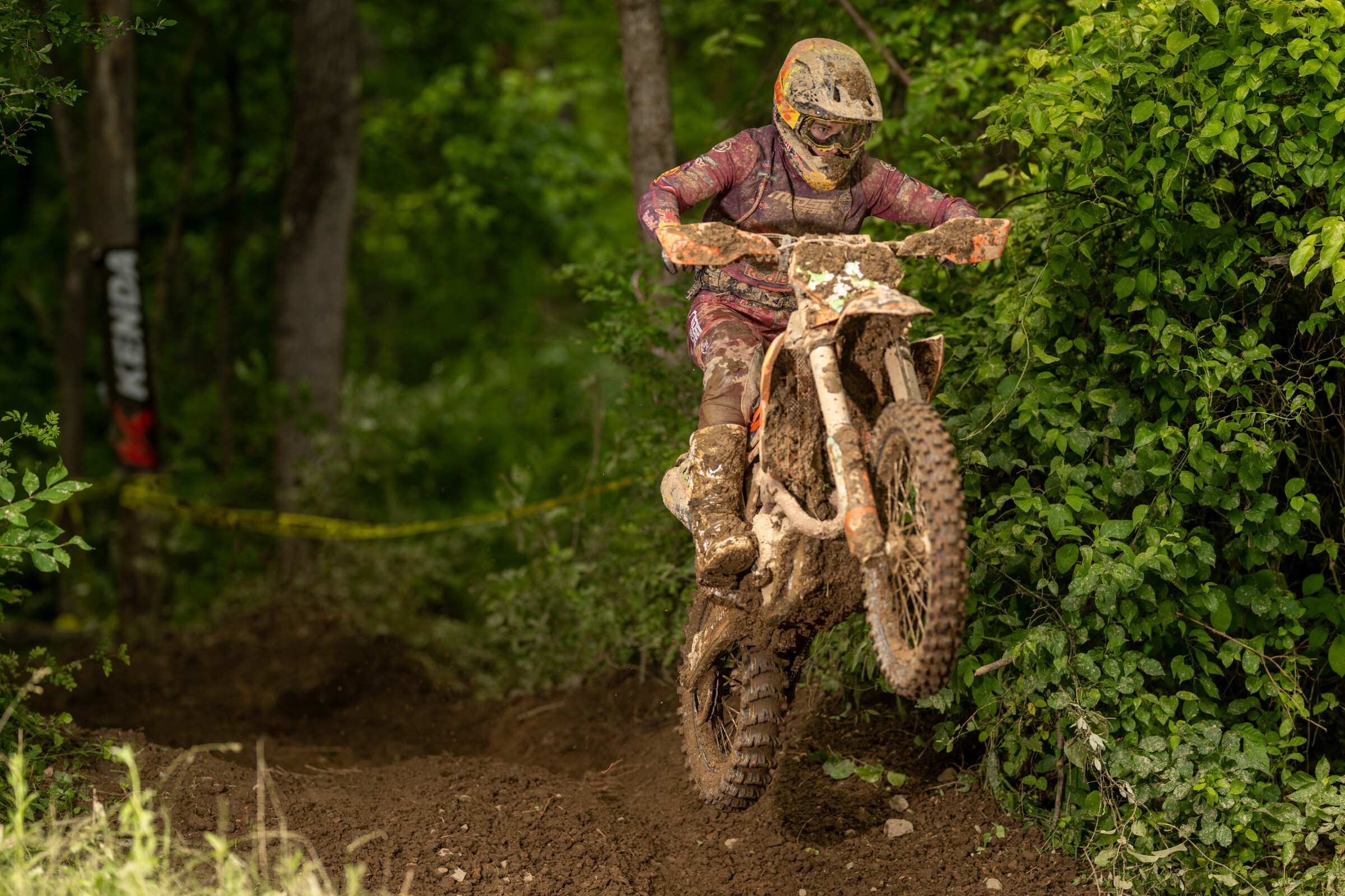 Mason-Dixon_SUN_Faint untitled-855