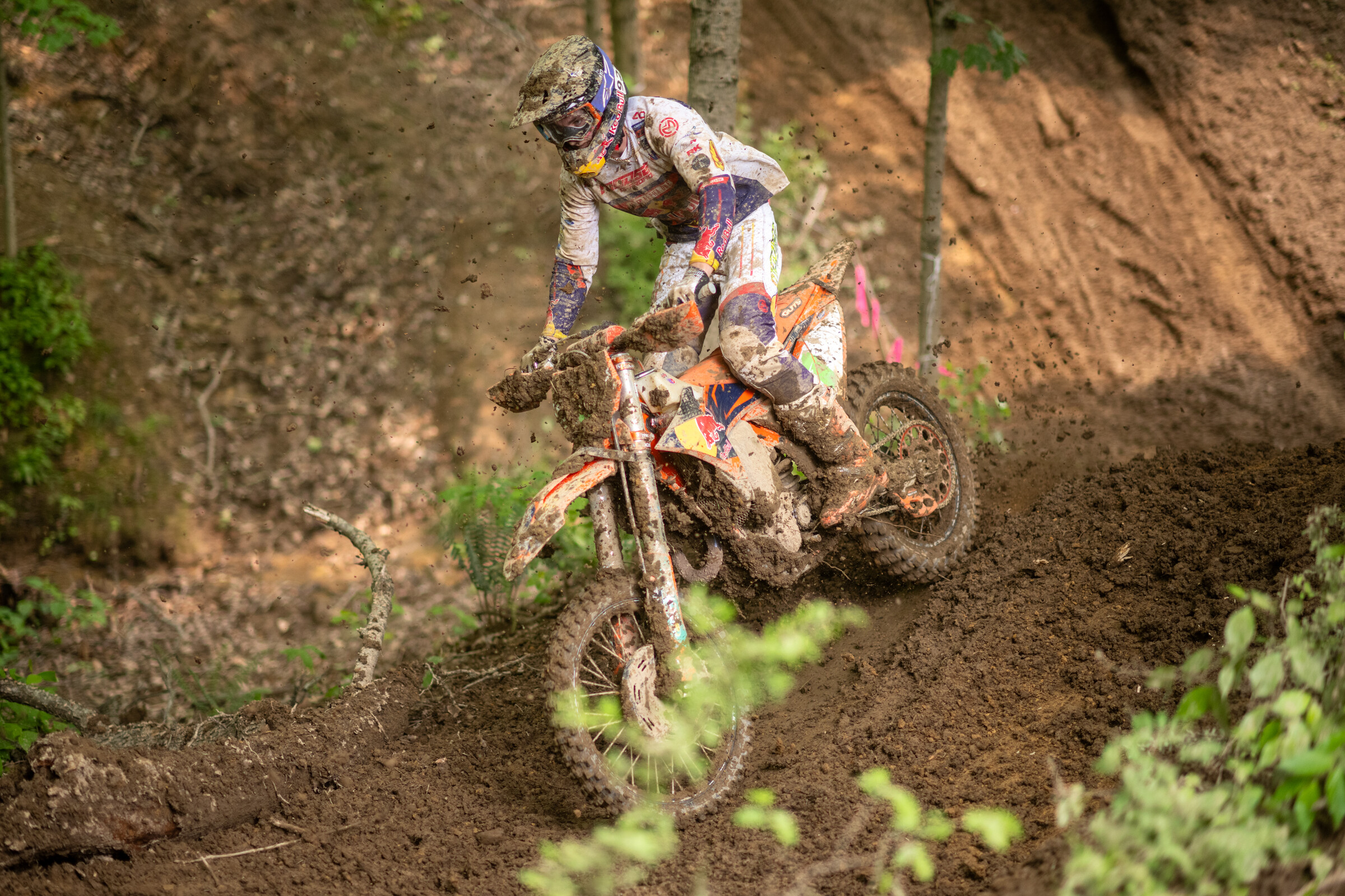 Mason-Dixon_SUN_Faint untitled-781