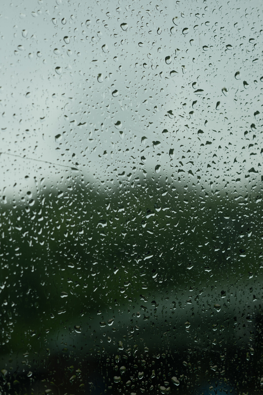 Mason-Dixon_FRI_Faint untitled-58