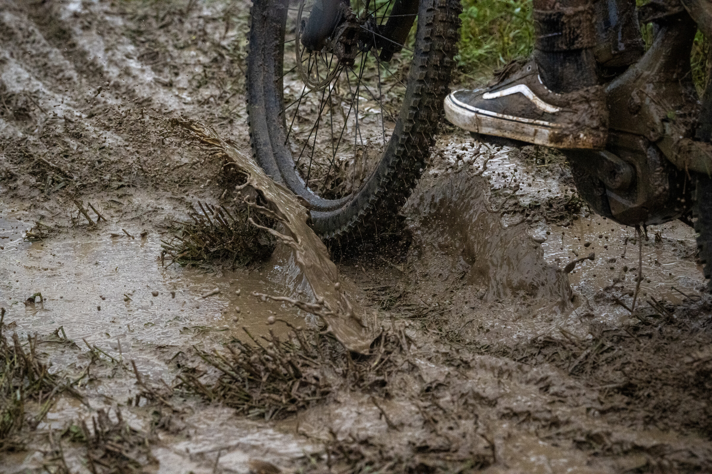 Mason-Dixon_FRI_Faint untitled-662