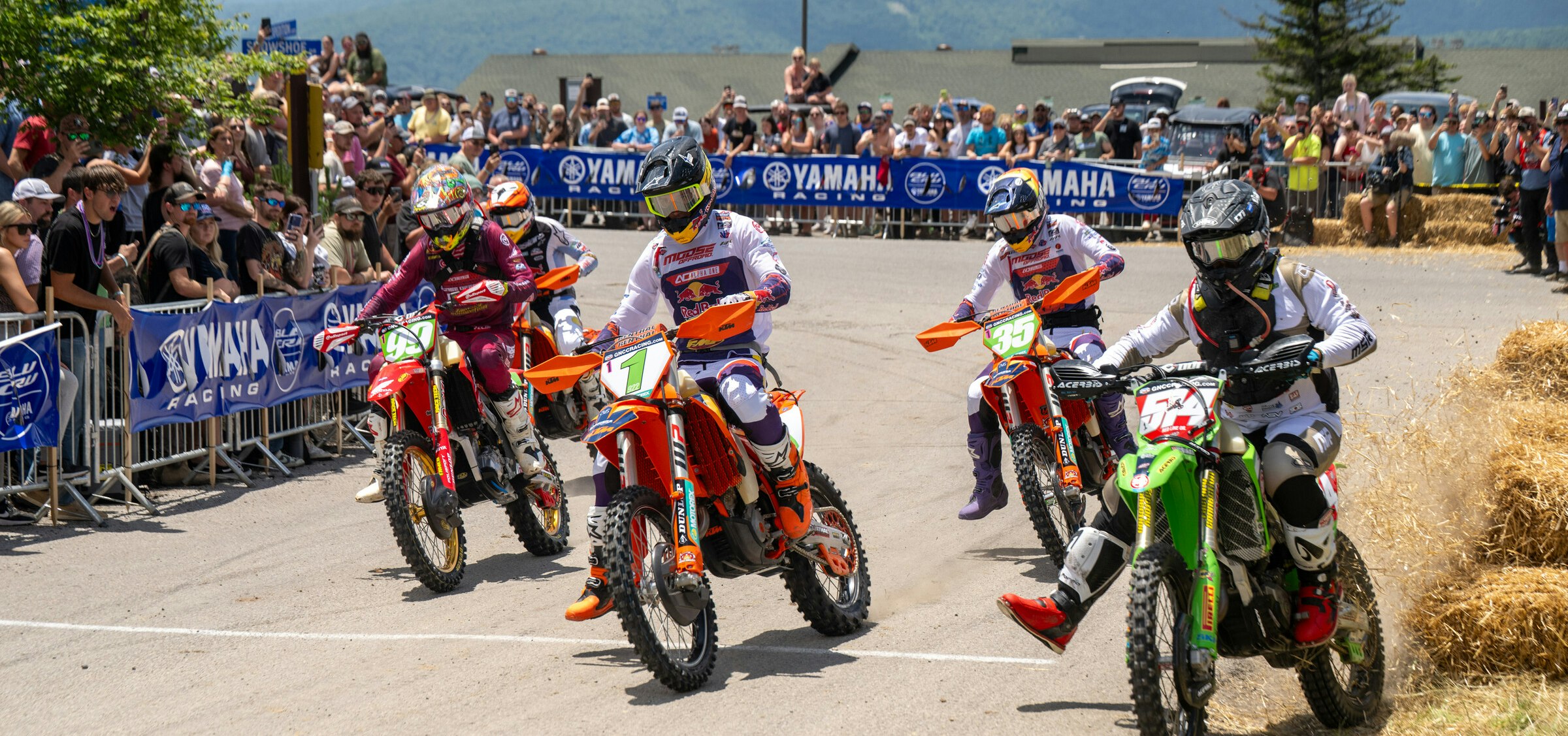 Photo Gallery: Snowshoe Bikes