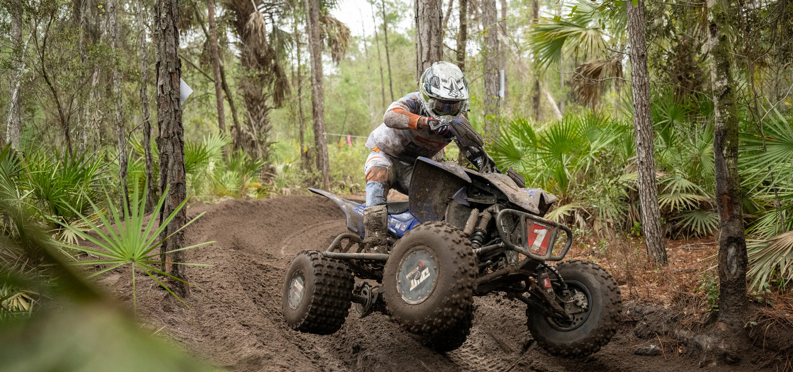 Photo Gallery: Wild Boar ATVs