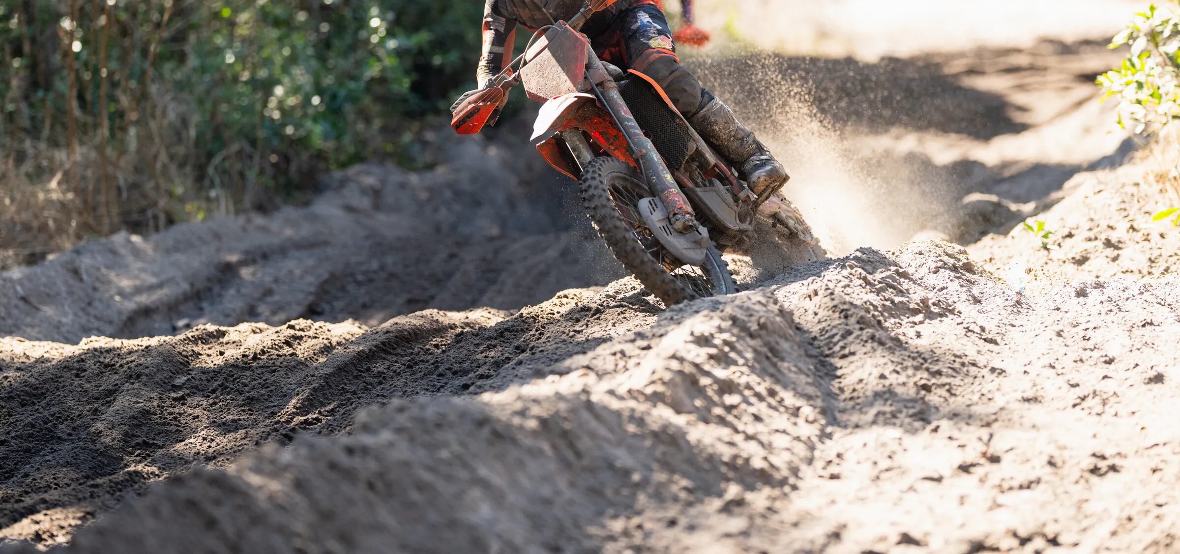 Photo Gallery: Wild Boar Bikes