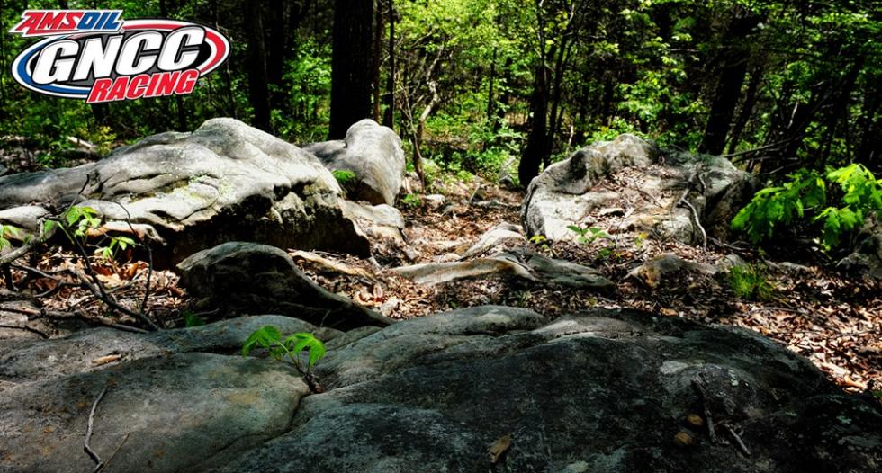 Pretty, yet very rough 