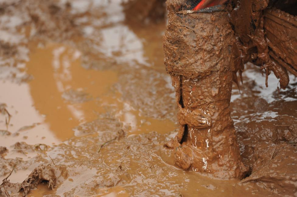 Who wants to go for a swim? 