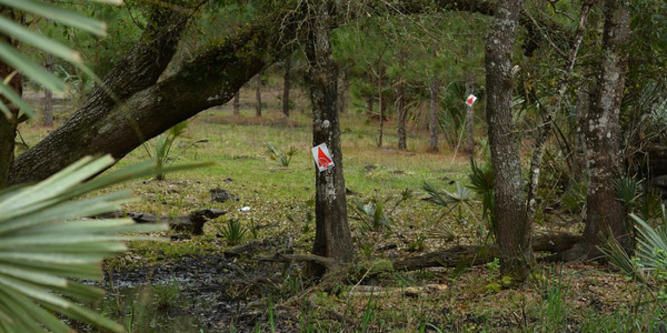 Mud Muckers Address and Directions Here