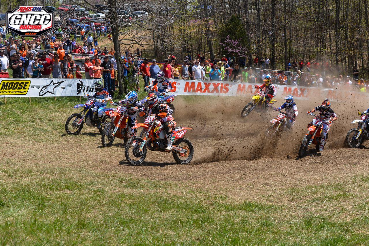 gb3yJoce8M9zCtZcErYwzk6ovtGXDnZWb9I-EdI6K2k