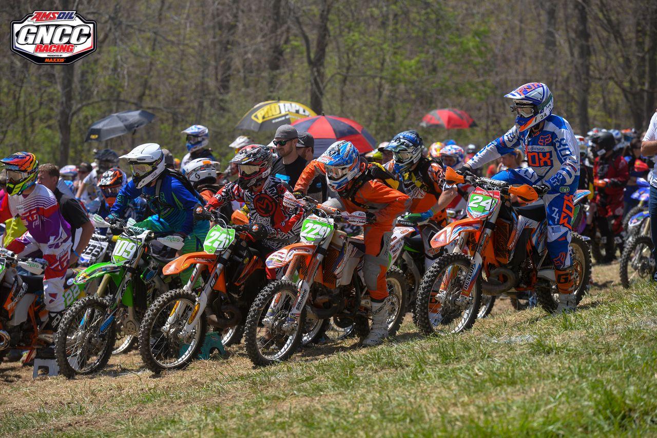 nbigs7nIqVMuIpUh2zAOqaV9lALNtuoThRZZ3824UGM