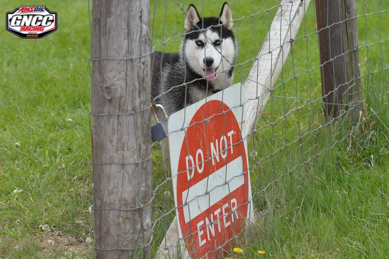 2lgROFnUZ6R2NlUZyBDYC93A7iLmxyDtYLvJj0UQ3GA