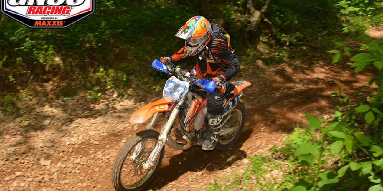 Tuesday Toolbox: Sarah Baldwin