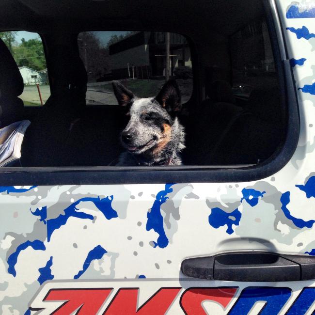 Miss Koda Kenyon is large and in charge of the Mid-State Chevy 