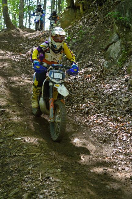 2014 has been an up and down season for Ashley