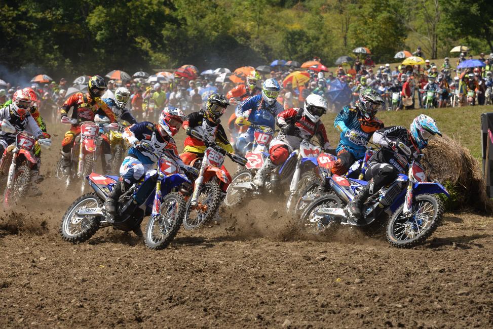 Look closely and you can see 