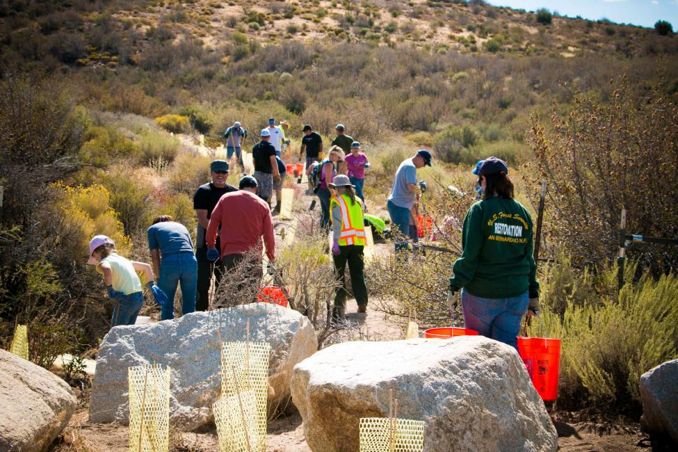Yamaha employees, friends and their families helped over the weekend to improve OHV area.