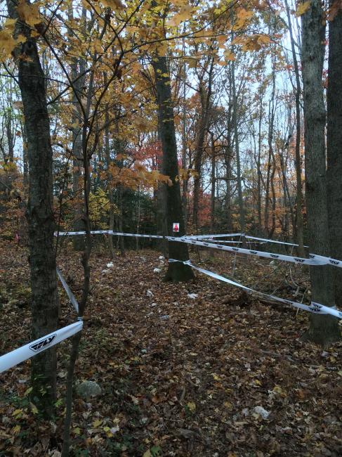The finishing touches are happening down in Asheboro, NC for this weekend's Zoo City GP! If you're in the area head on over to race, or even just spectate. 