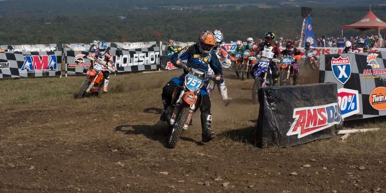 Tuesday Toolbox: Sarah Baldwin