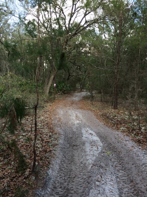 This weekend's weather is looking perfect for riding! Whose ready for round one?