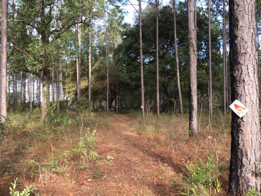 The trails is Palatka are looking good for this weekends opening round!