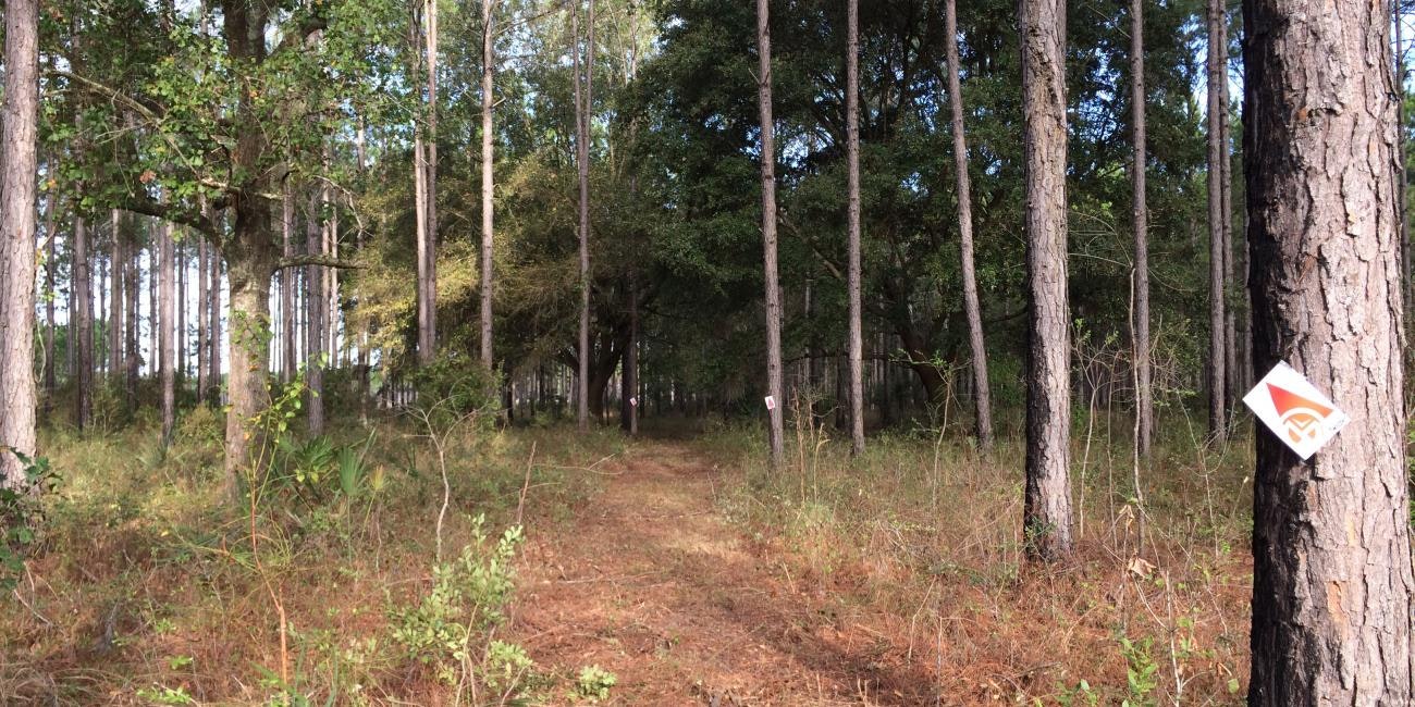 Quick Fill #9: This Week In GNCC