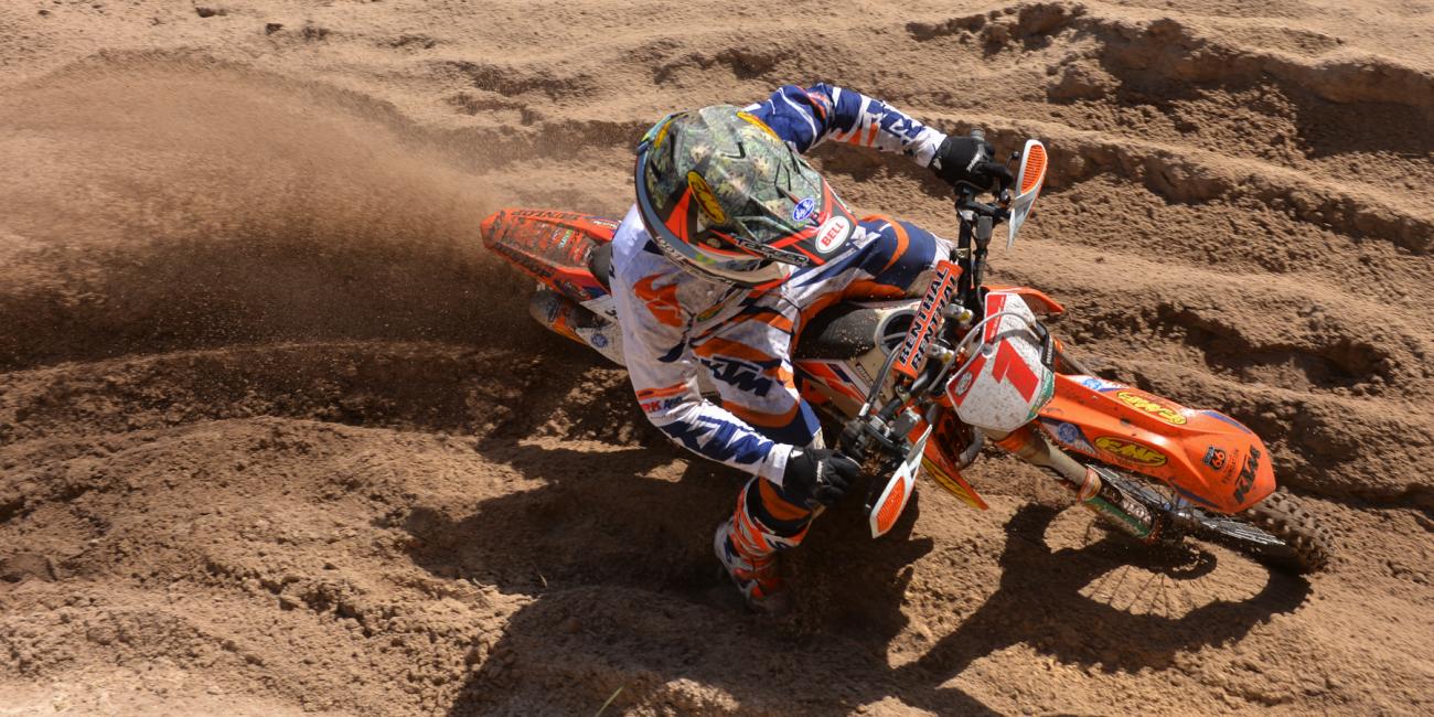 Photo Gallery: Wild Boar Afternoon Bikes