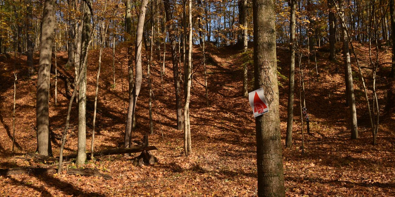 Congratulations to the 2015 AMSOIL Ironman Preferred Parking Winners