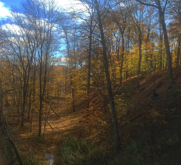 We're going old school Ironman this weekend! Across the creek and up Ironman Hill. Who's ready?